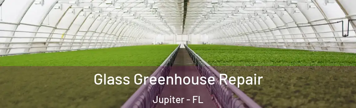 Glass Greenhouse Repair Jupiter - FL