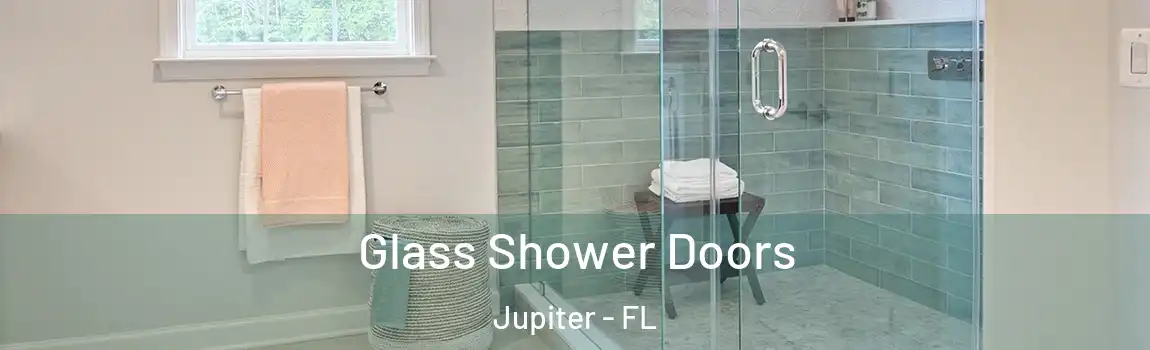 Glass Shower Doors Jupiter - FL